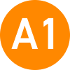 A1