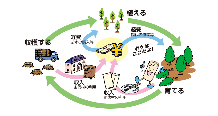 植える、育てる、収穫するのサイクル